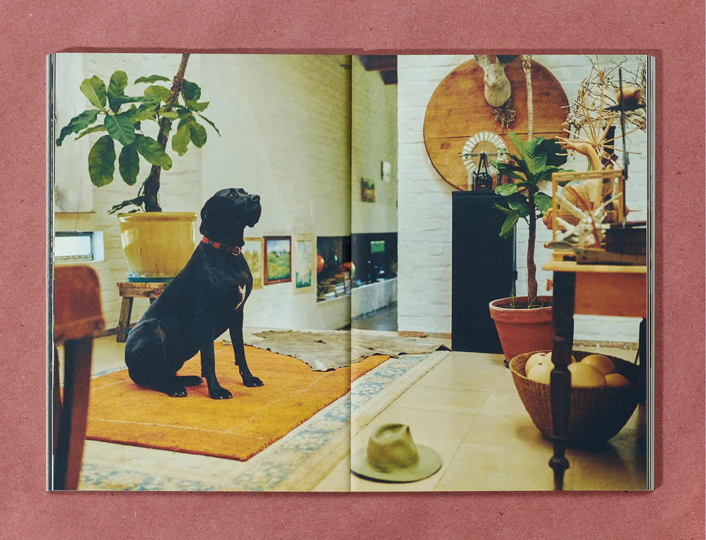 Jenna Garrett / Airbnb